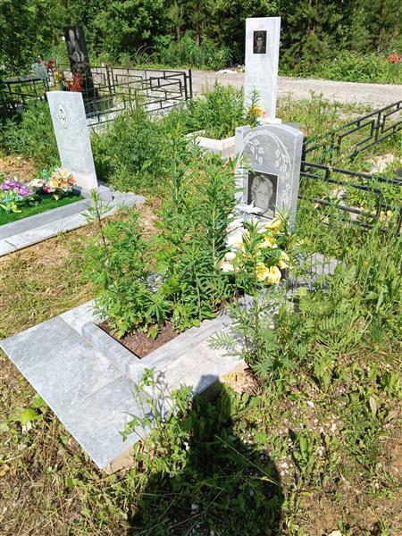 Кузнецова Апполинария Михайловна