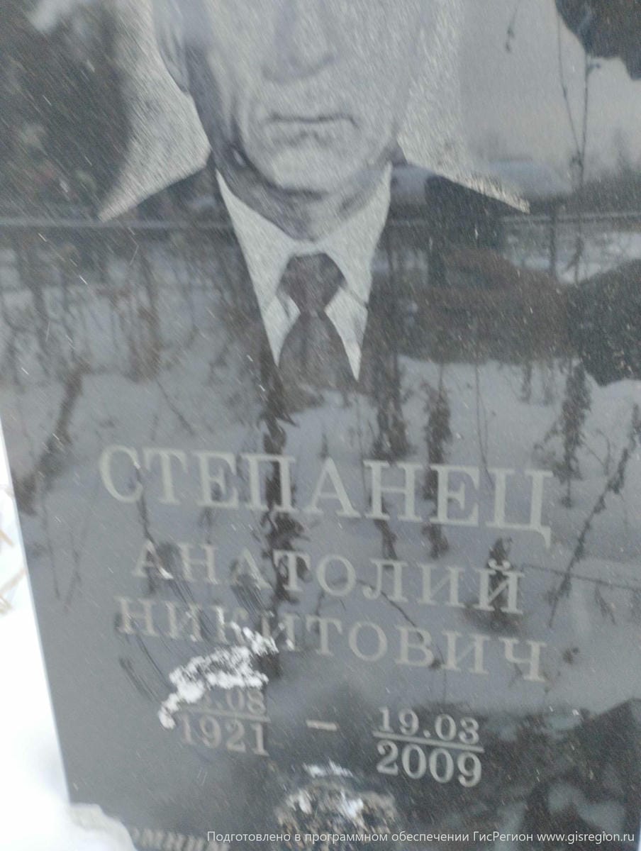Степаней Анатолий Никитович