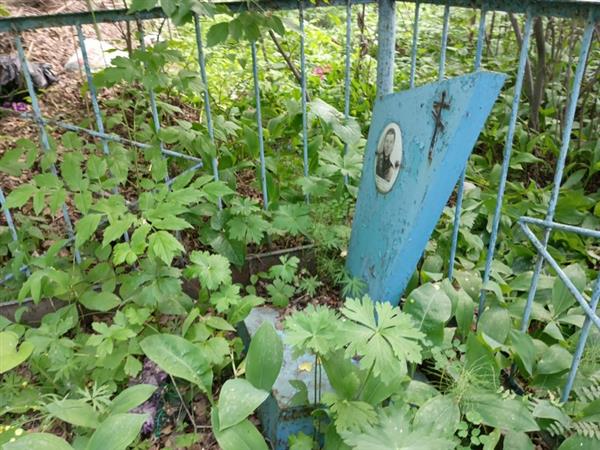 Дерменев Василий Николаевич