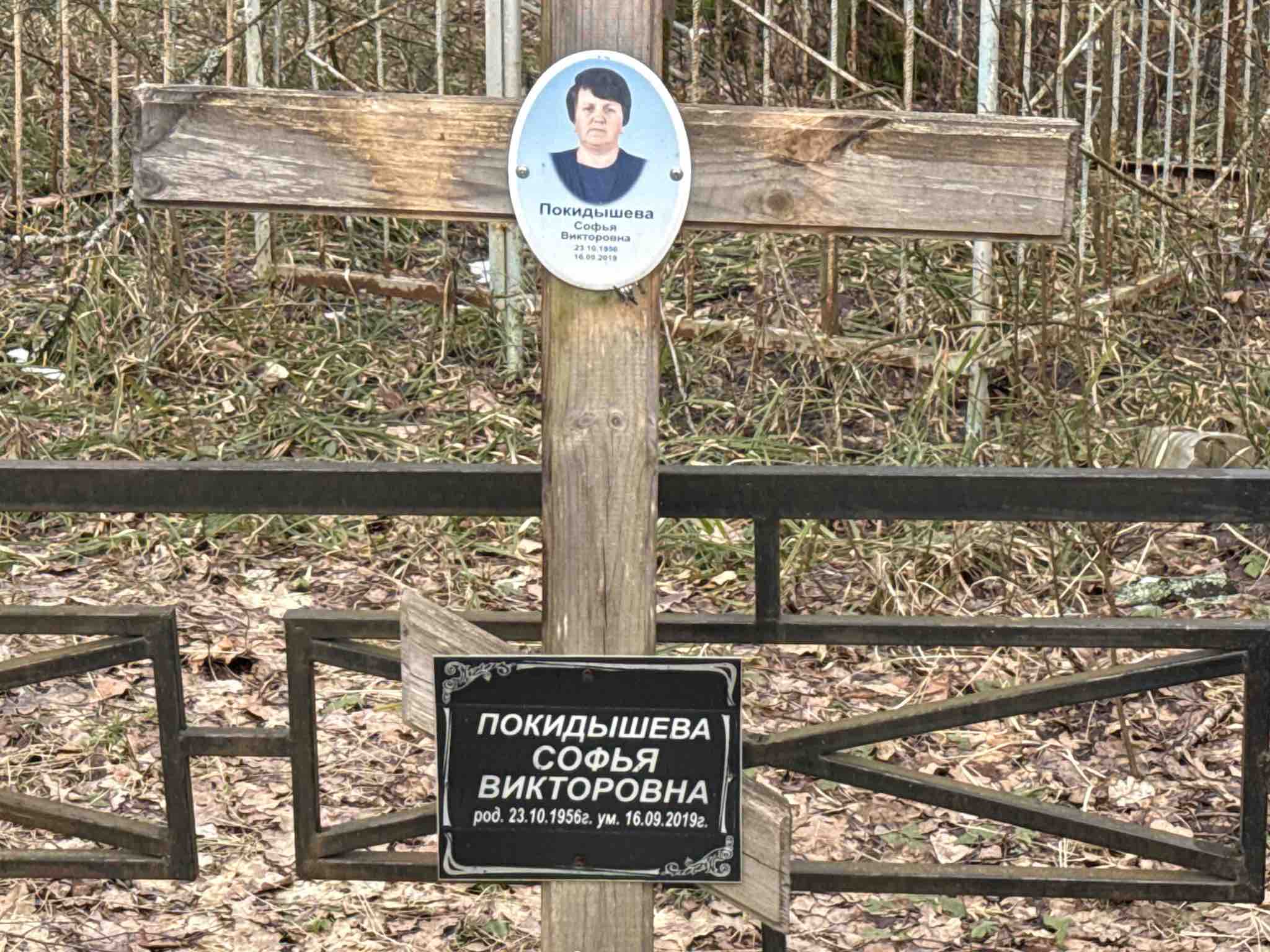 Покидышева Софья Викторовна