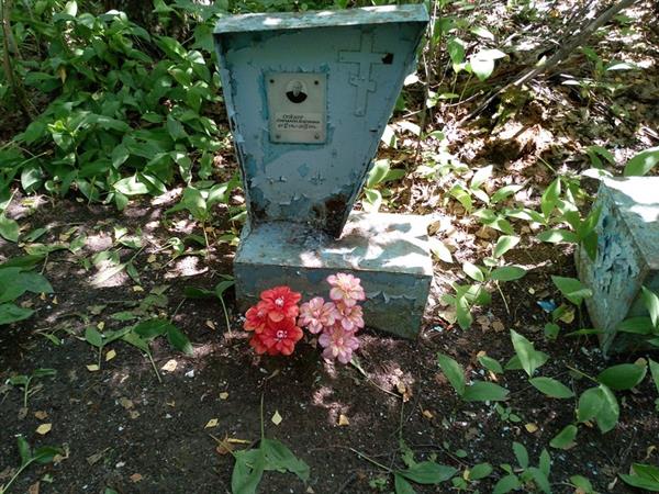 Сейдер Елизавета Андреевна