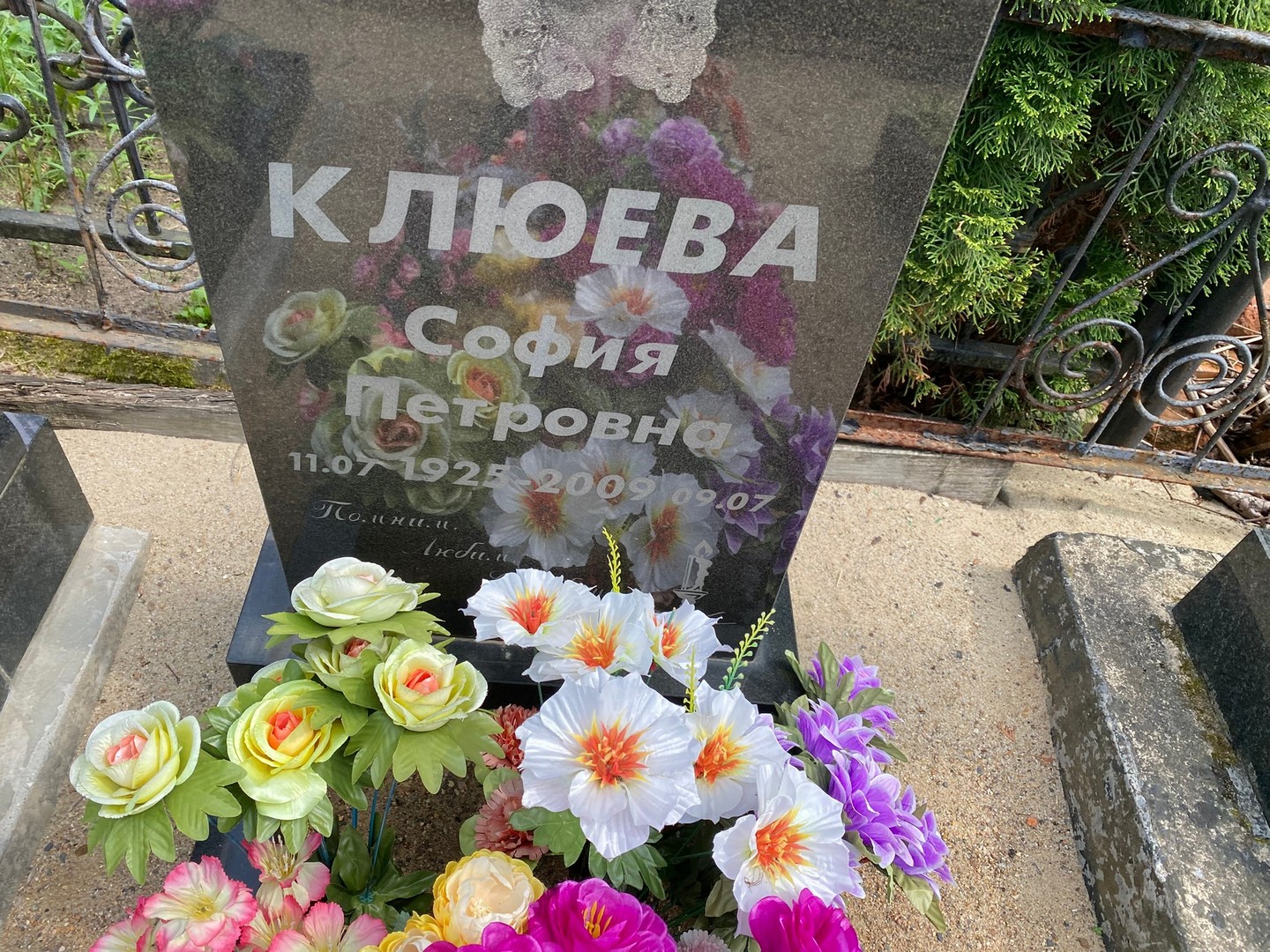 София Клюева Петровна