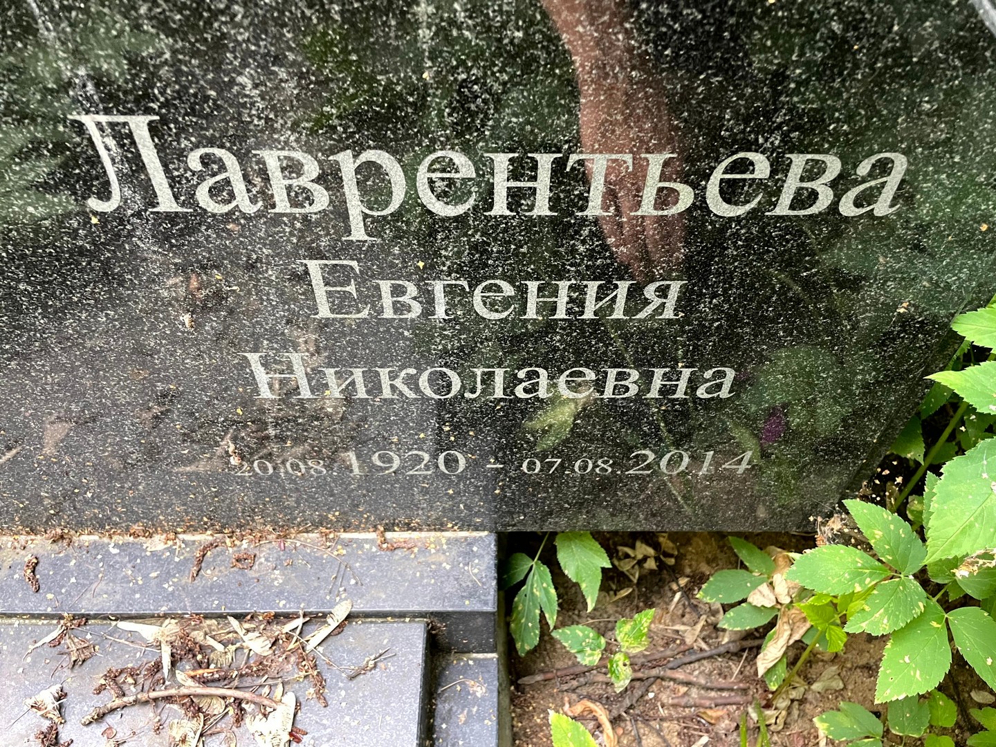 Лаврентьева Евгения Николаевна