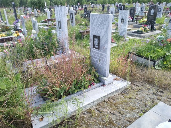 Владимирова Екатерина Алексеевна