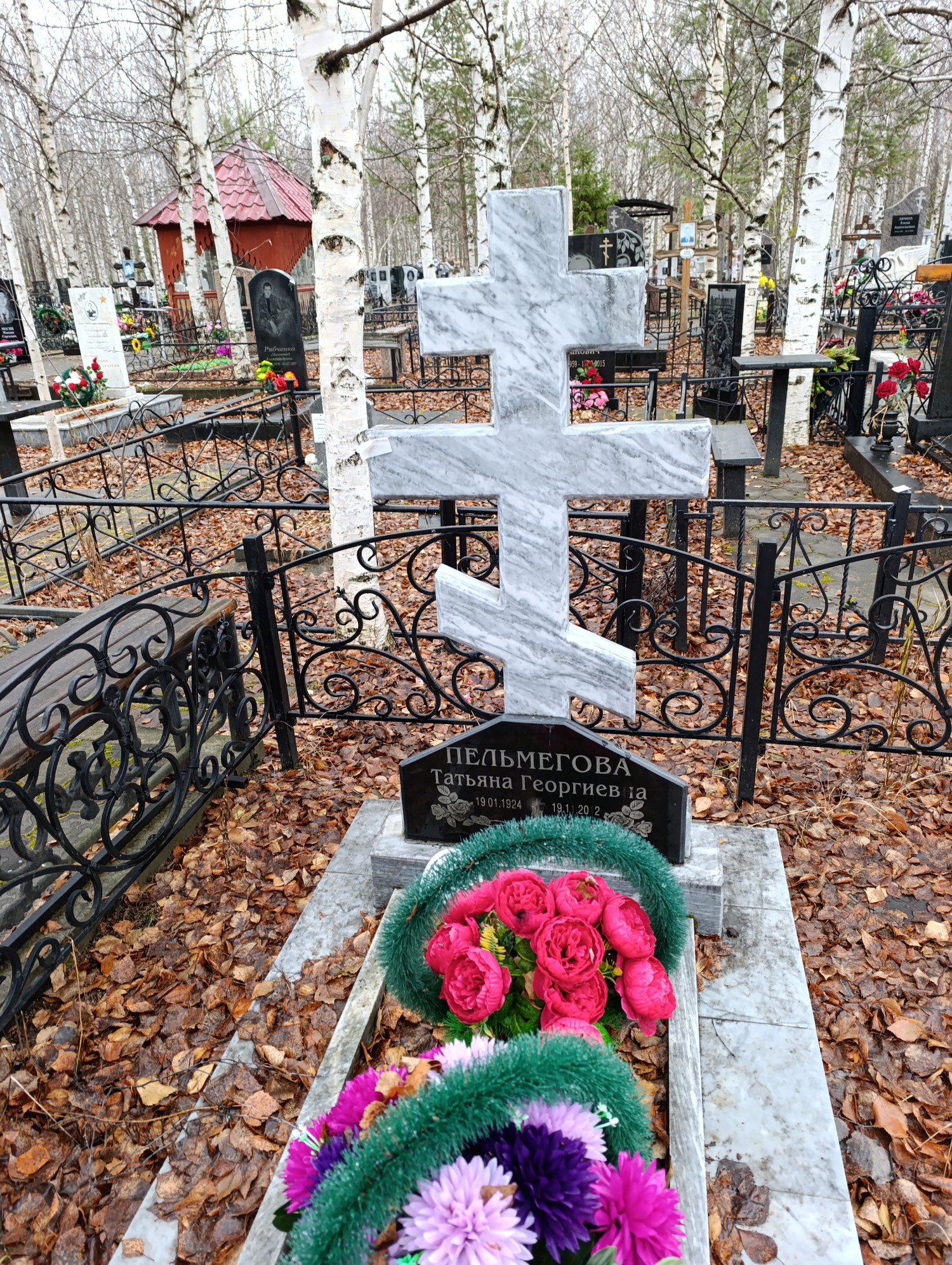 Пельмегова Татьяна Георгиевна
