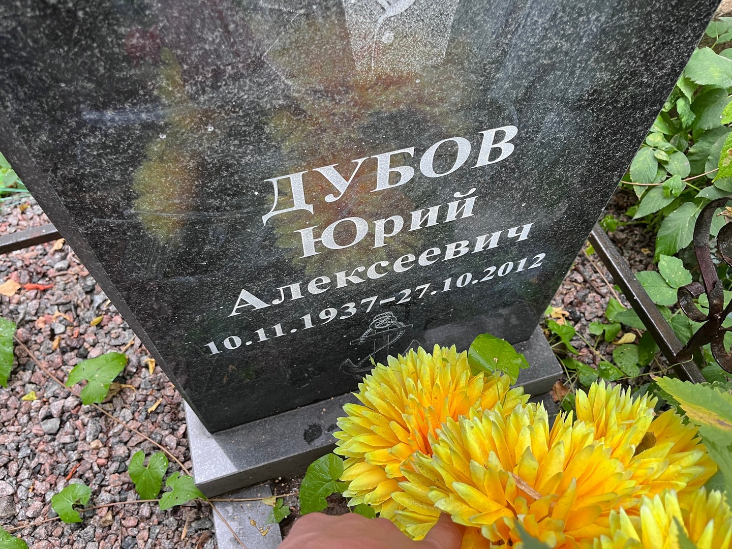 Дубов