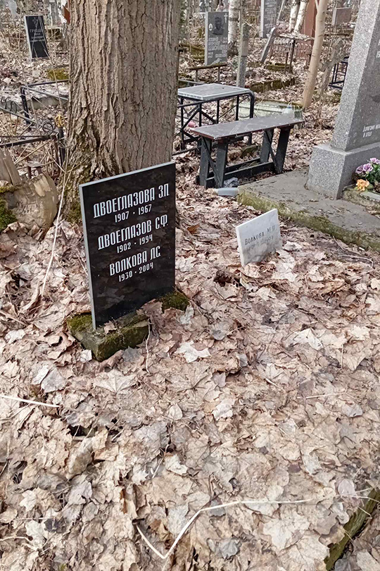 Волкова Л. С.