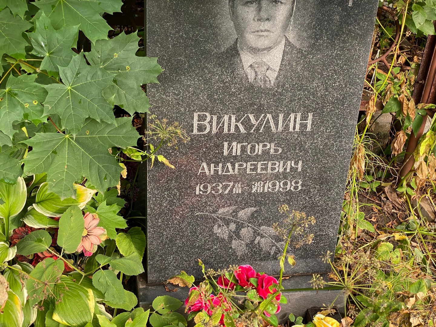 Викулин