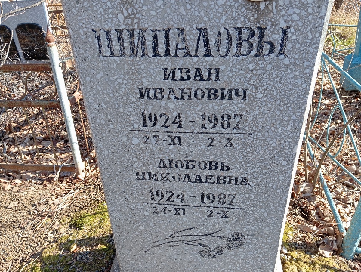 Шипалова Любовь Николаевна