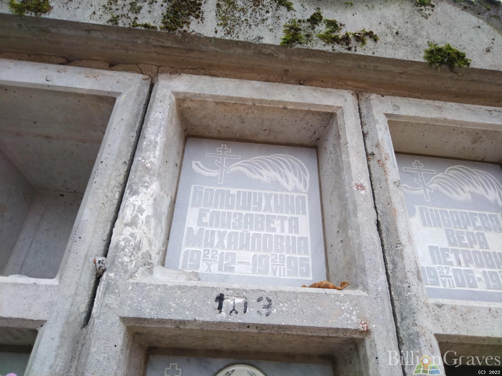 Большухина Елизавета Михайловна