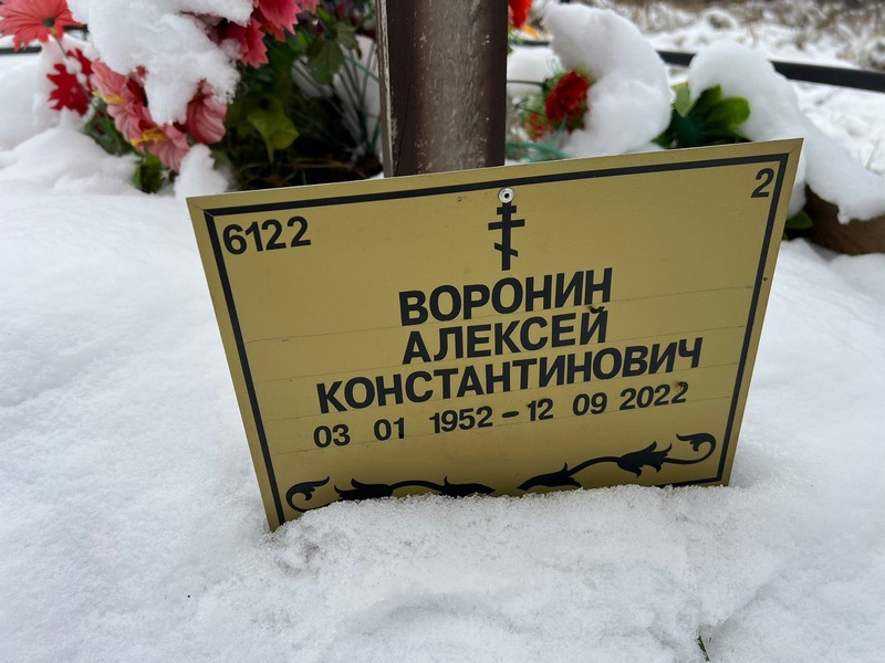 Воронин