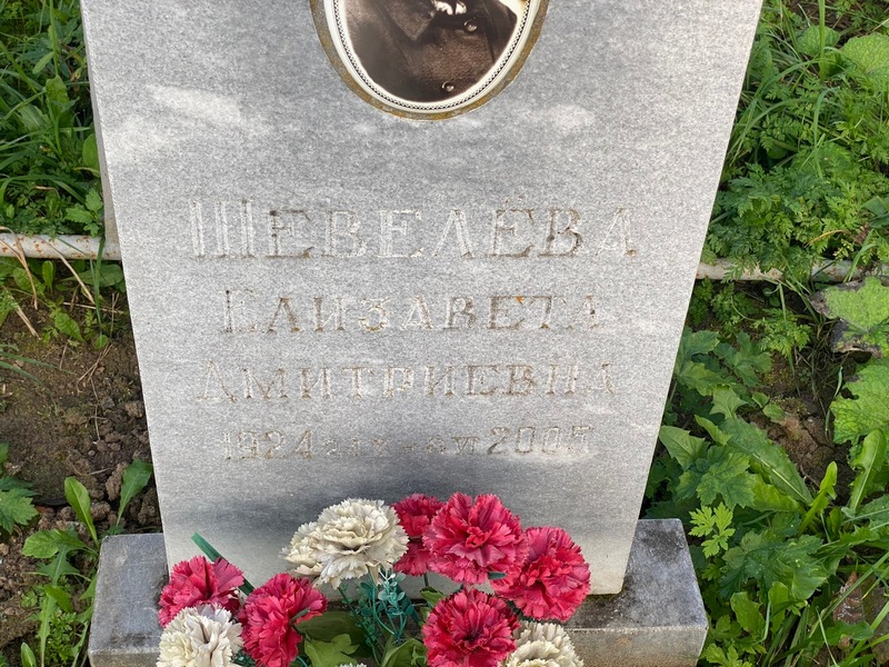 Шевелева