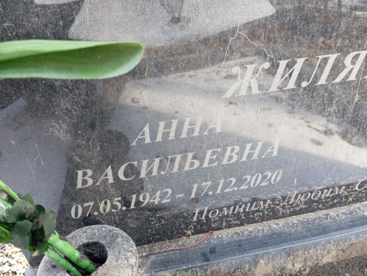 Жиляева Анна Васильевна