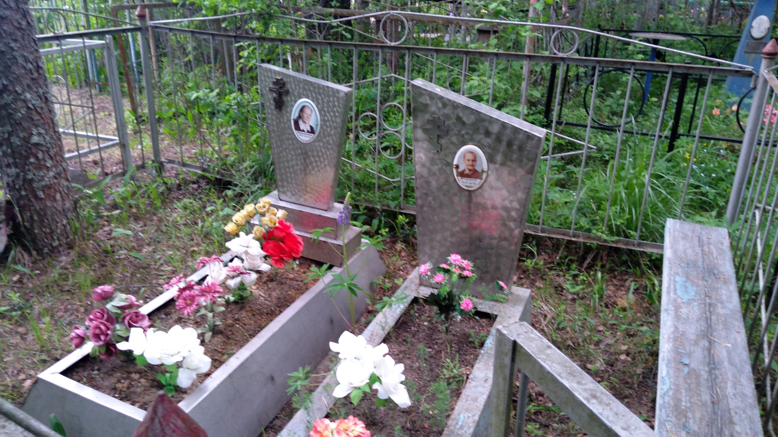 Тестерева Анна Кирилловна
