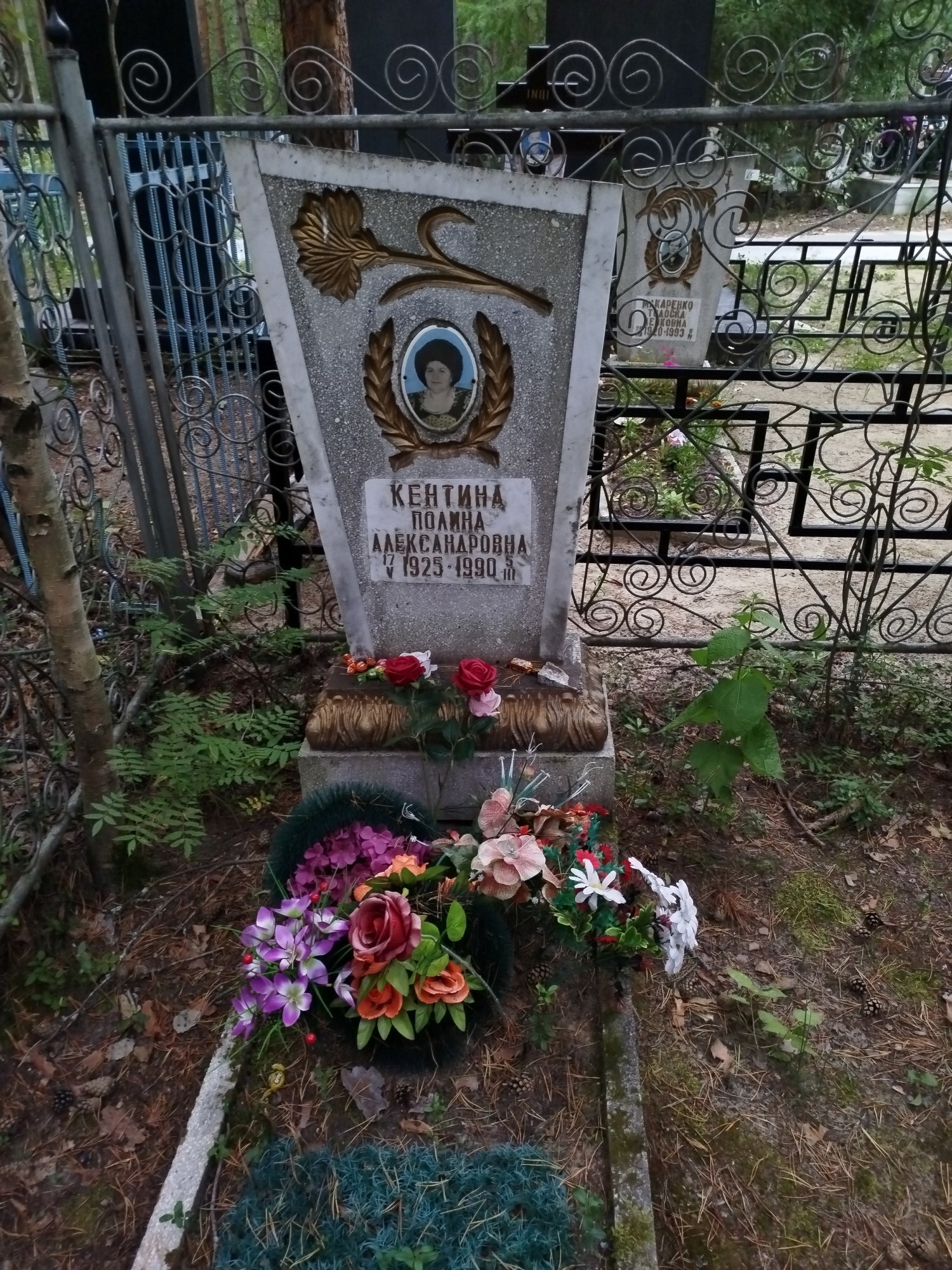 Кентина Полина Александровна
