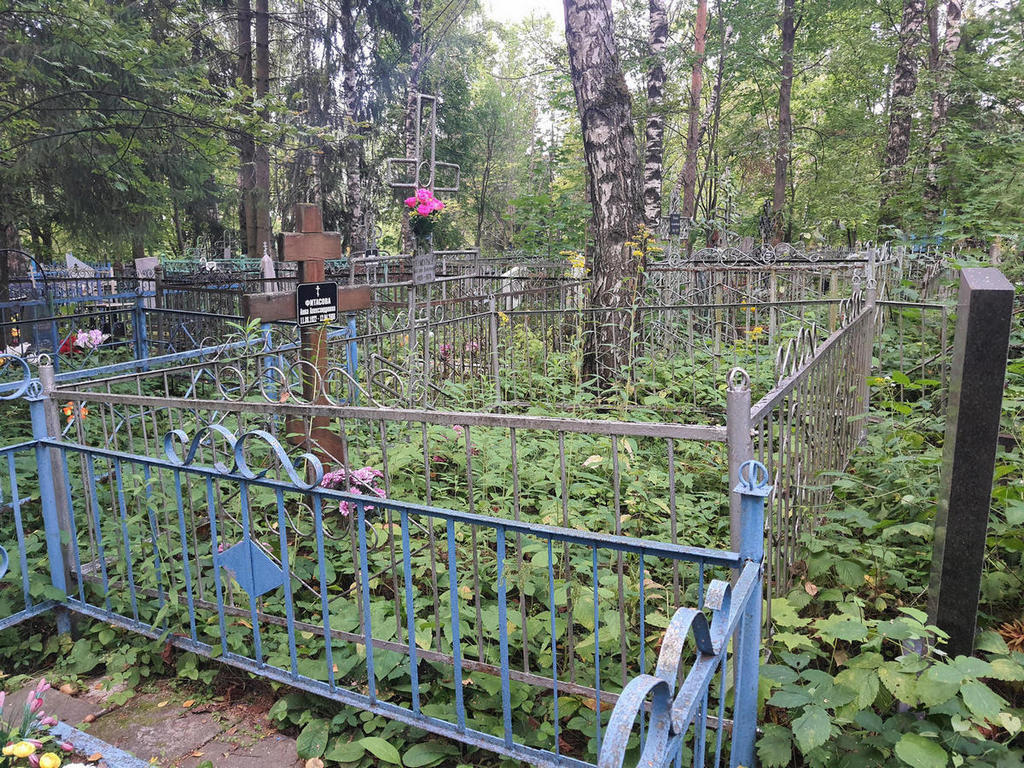 Фитасова Анна Александровна