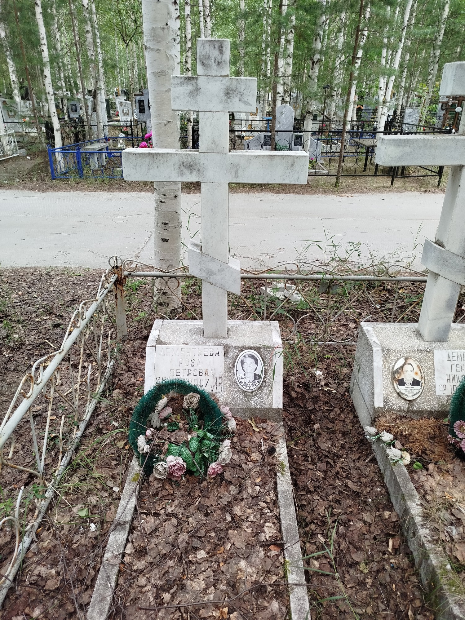 Дементьева Роза Петровна