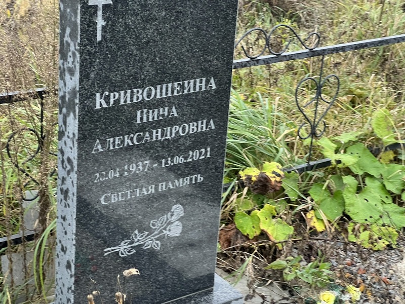 Кривошеина