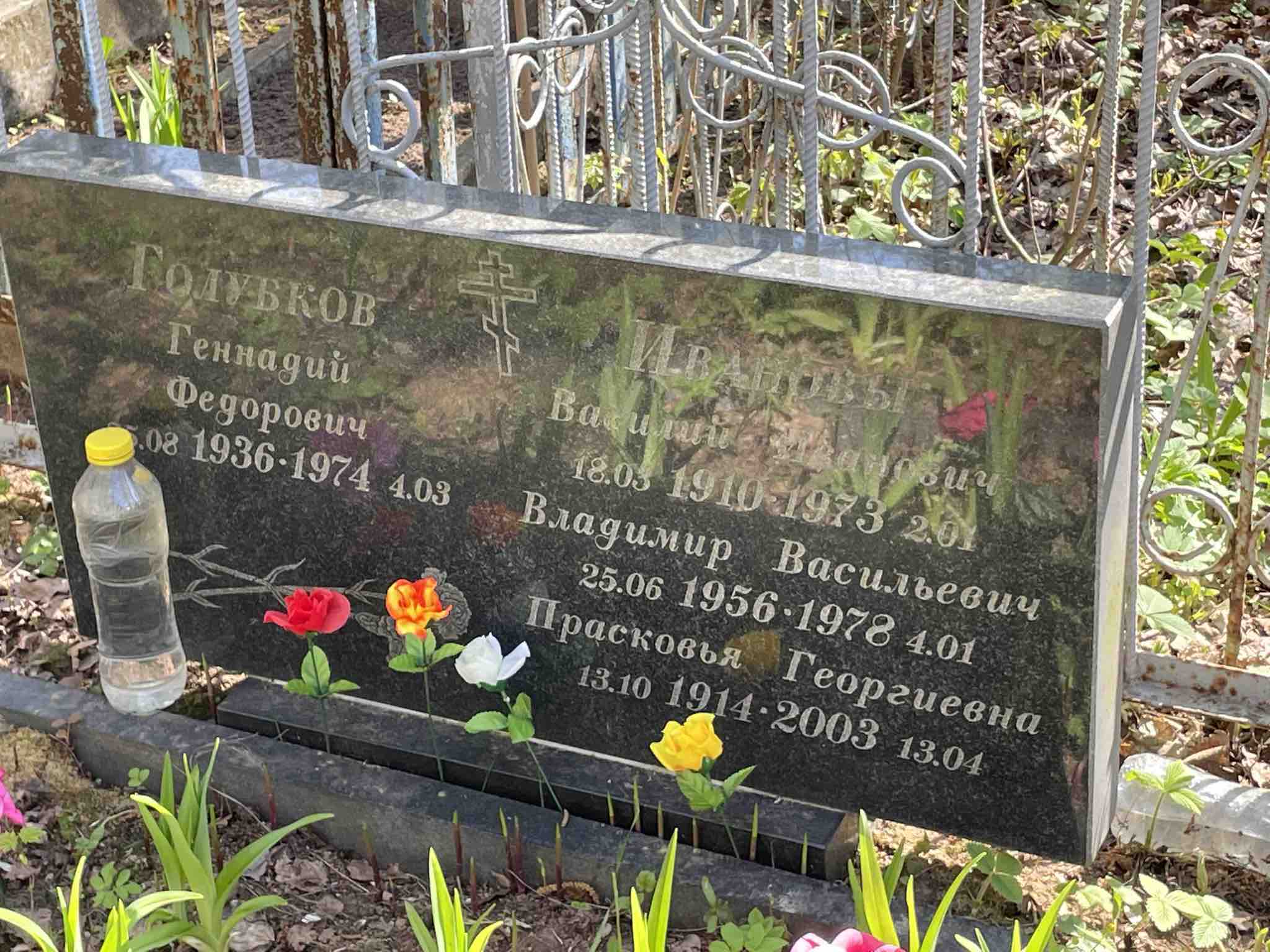 Иванов Владимир Васильевич