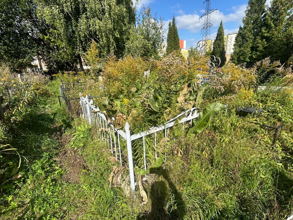Мерзлова Ульяна Андреевна