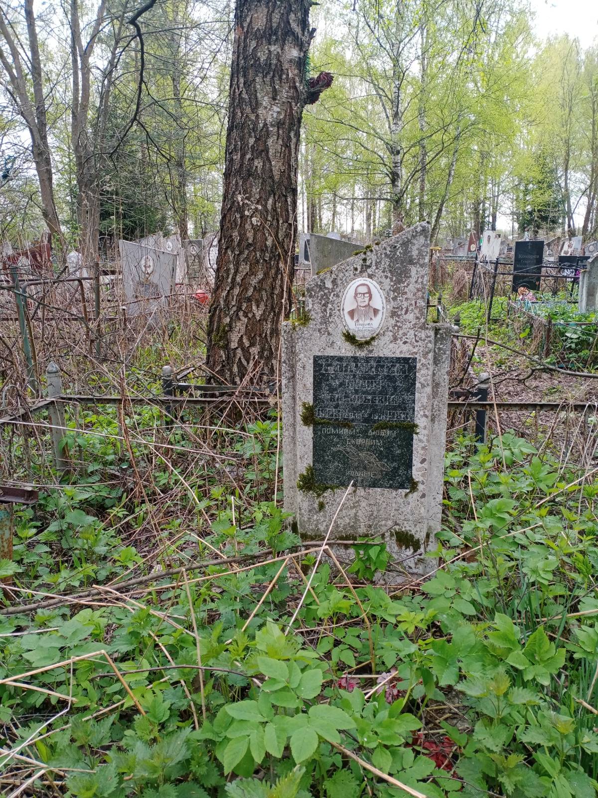 Голикова Лидия Васильевна