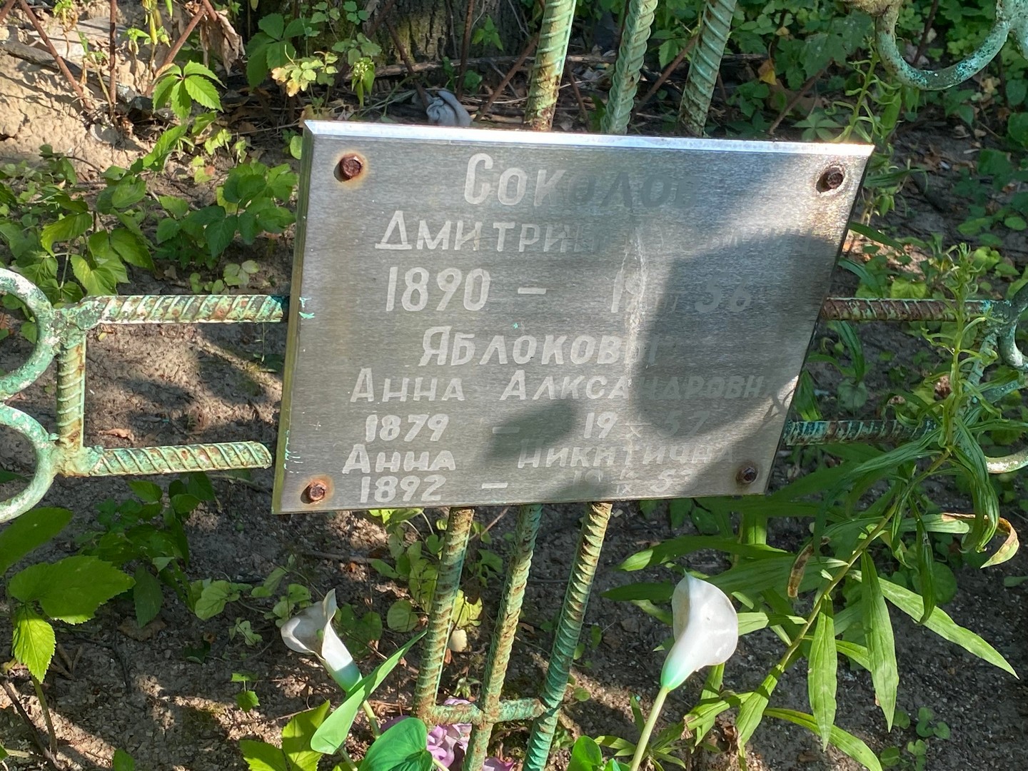 Соколов
