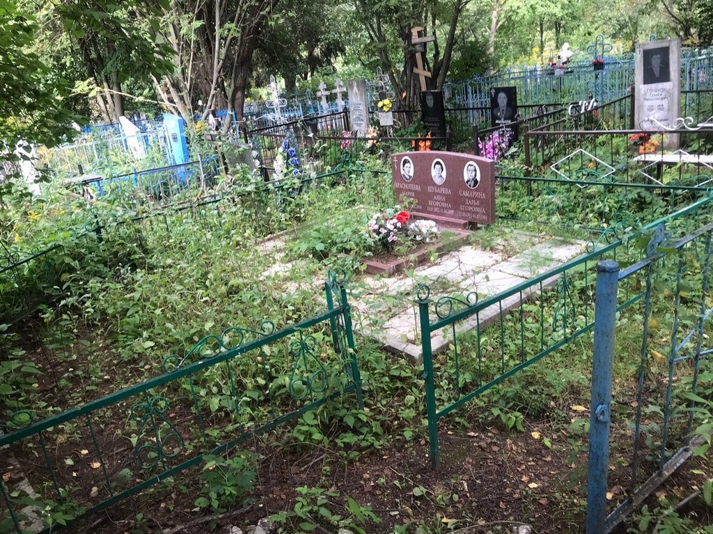 Самарина Дарья Егоровна
