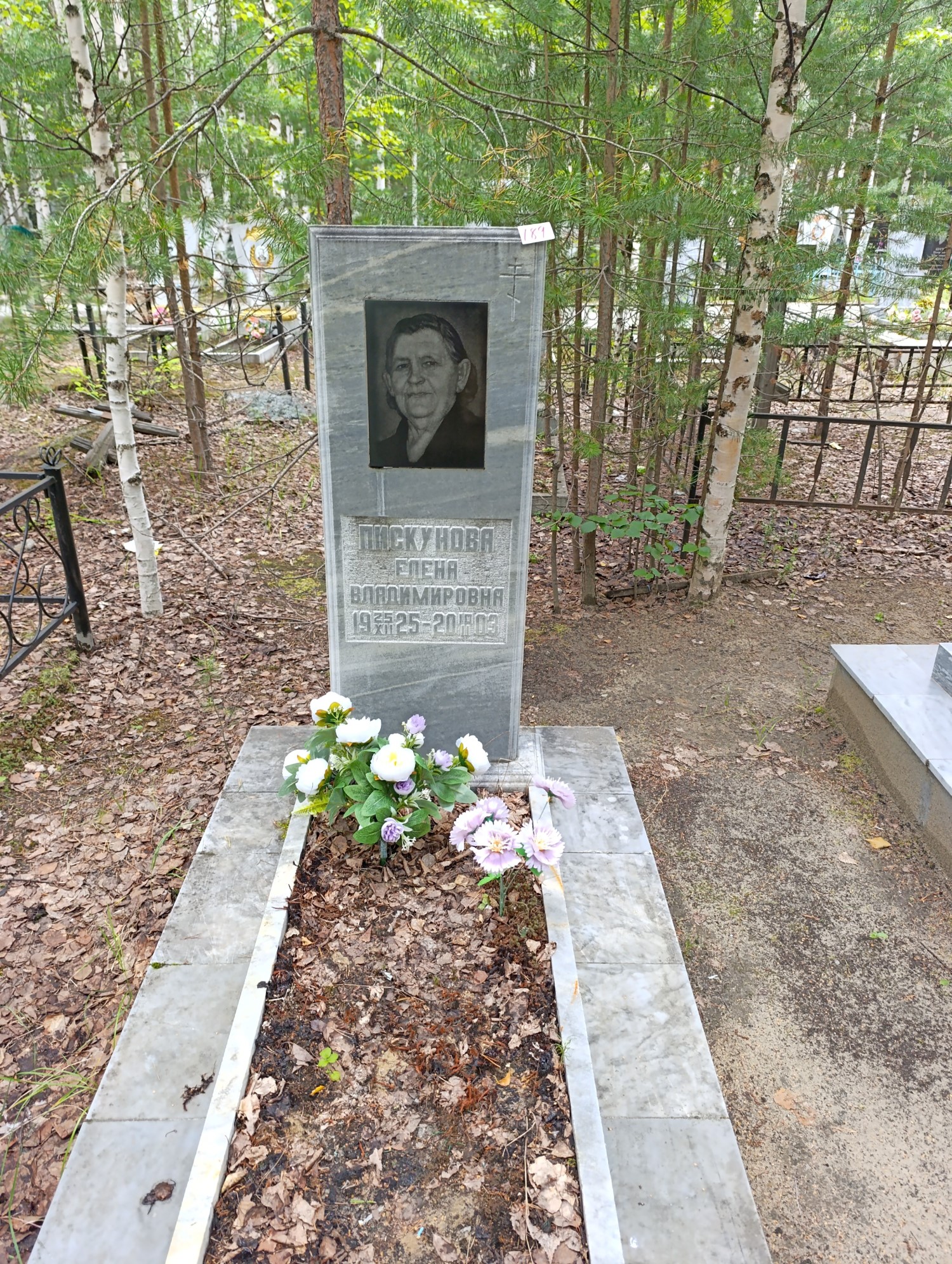 Пискунова Елена Владимировна