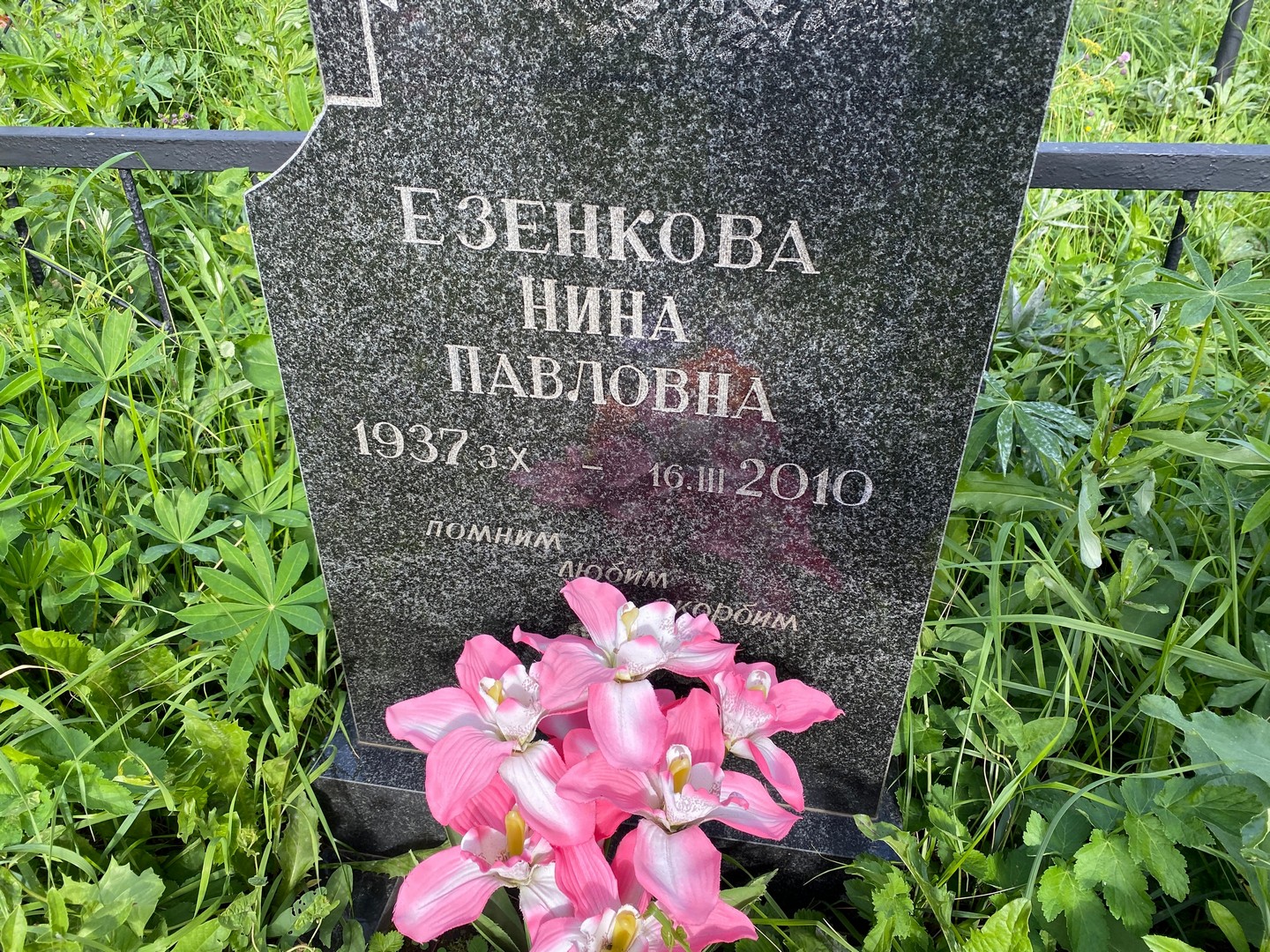 Езенкова