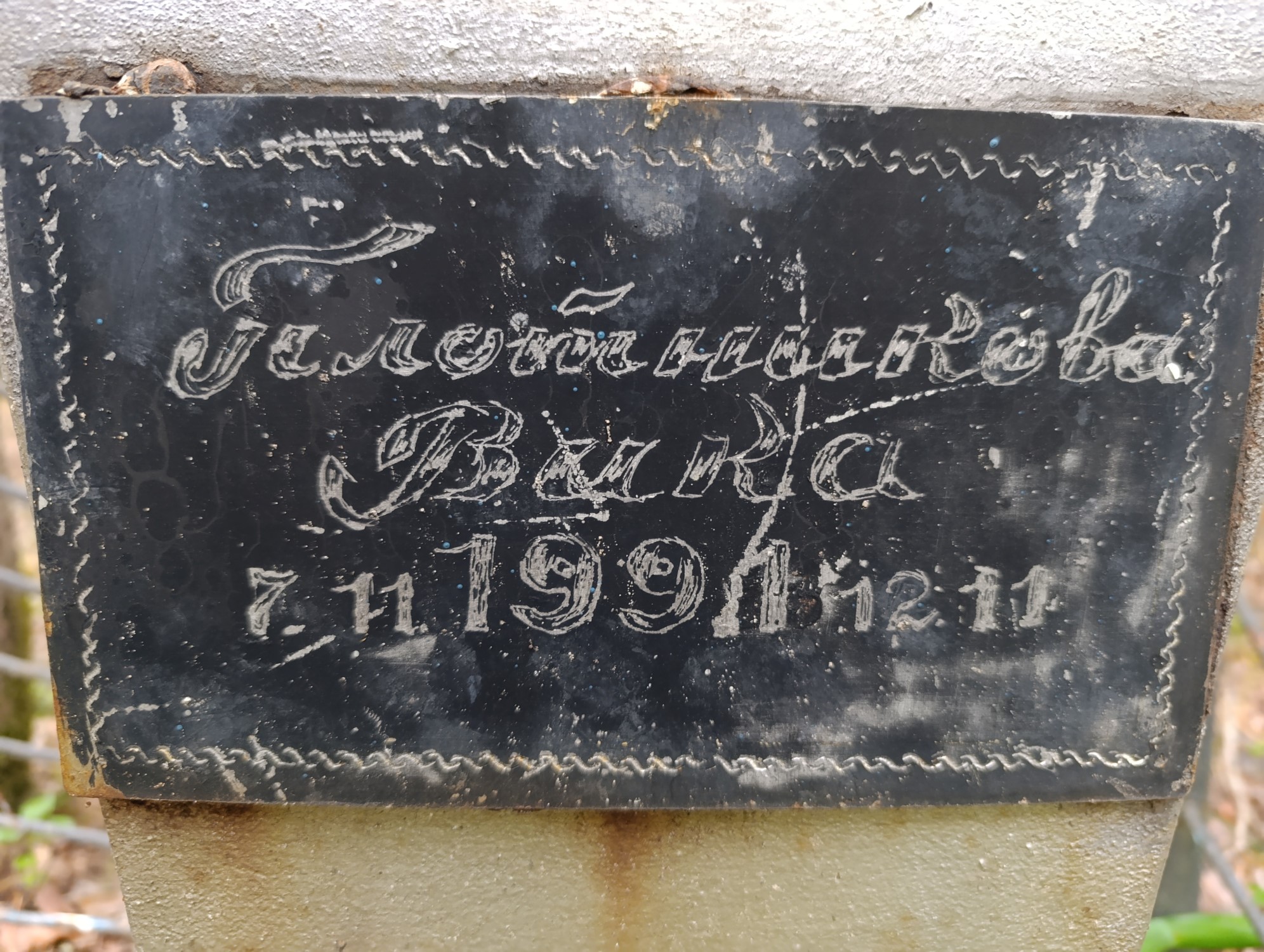 Плотникова Вика