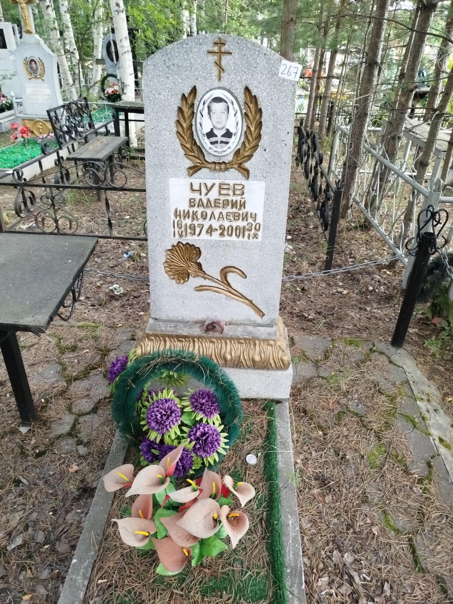 Чуев Валерий Николаевич
