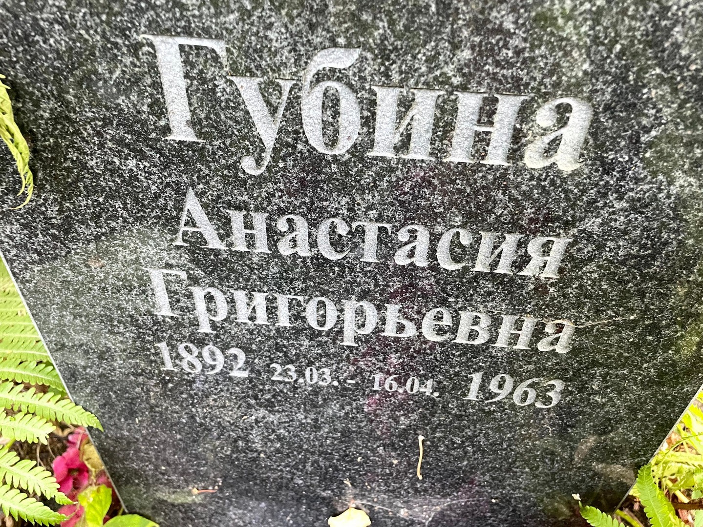 Губина Анастасия Григорьевна