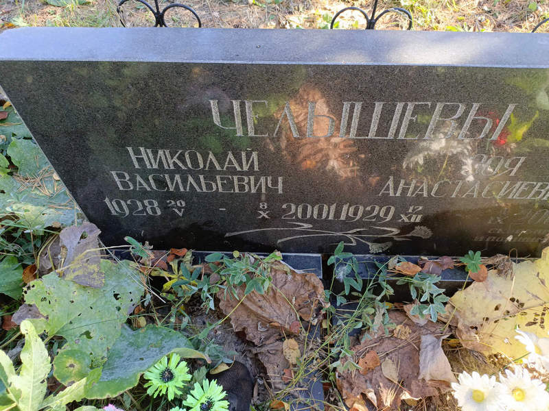 Челышев