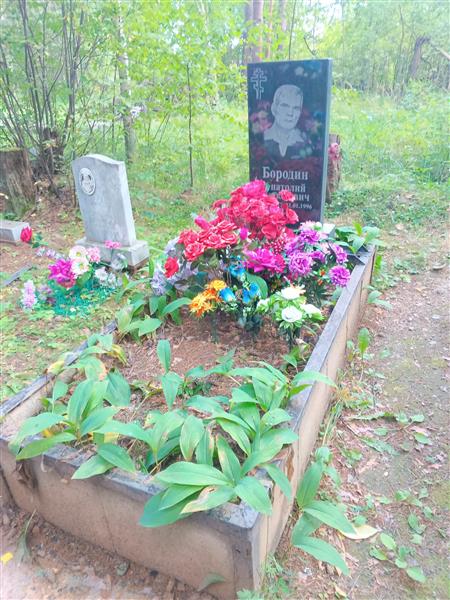 Бородин Анатолий Алексеевич