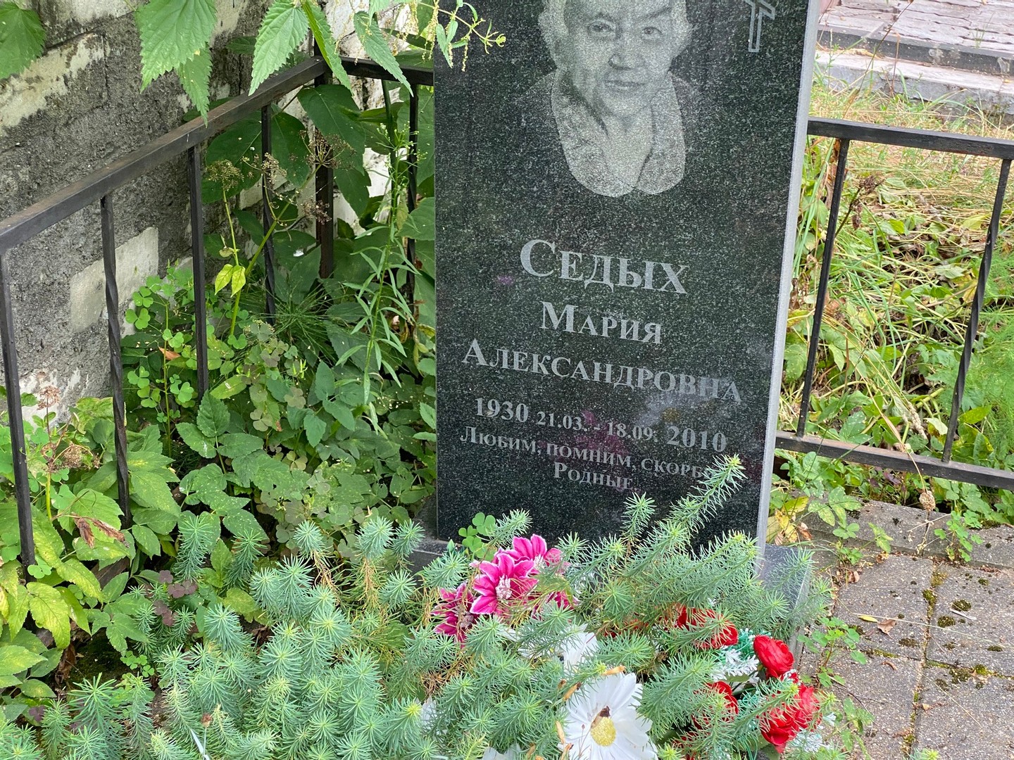 Седых