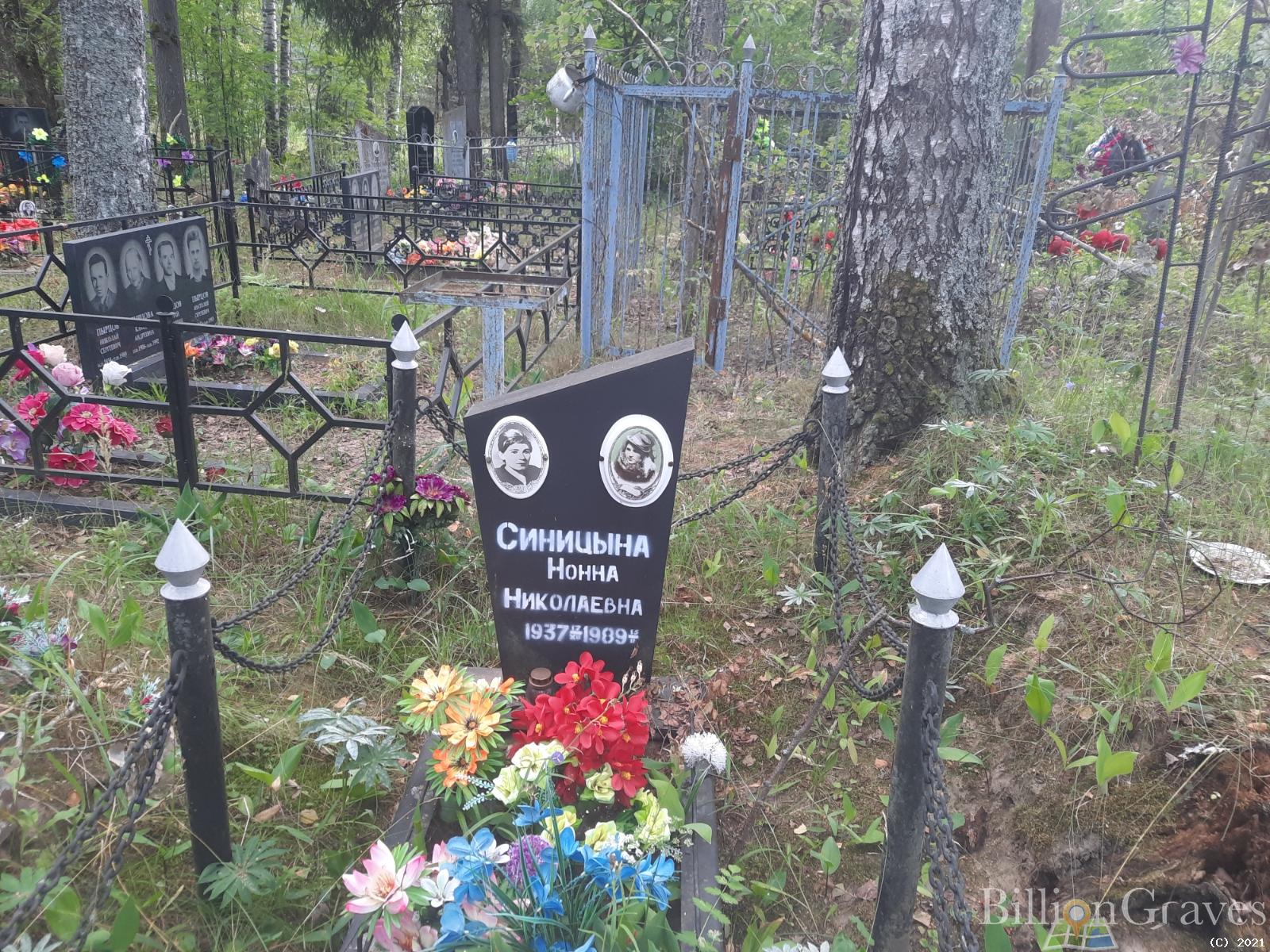 Синицына Нонна Николаевна