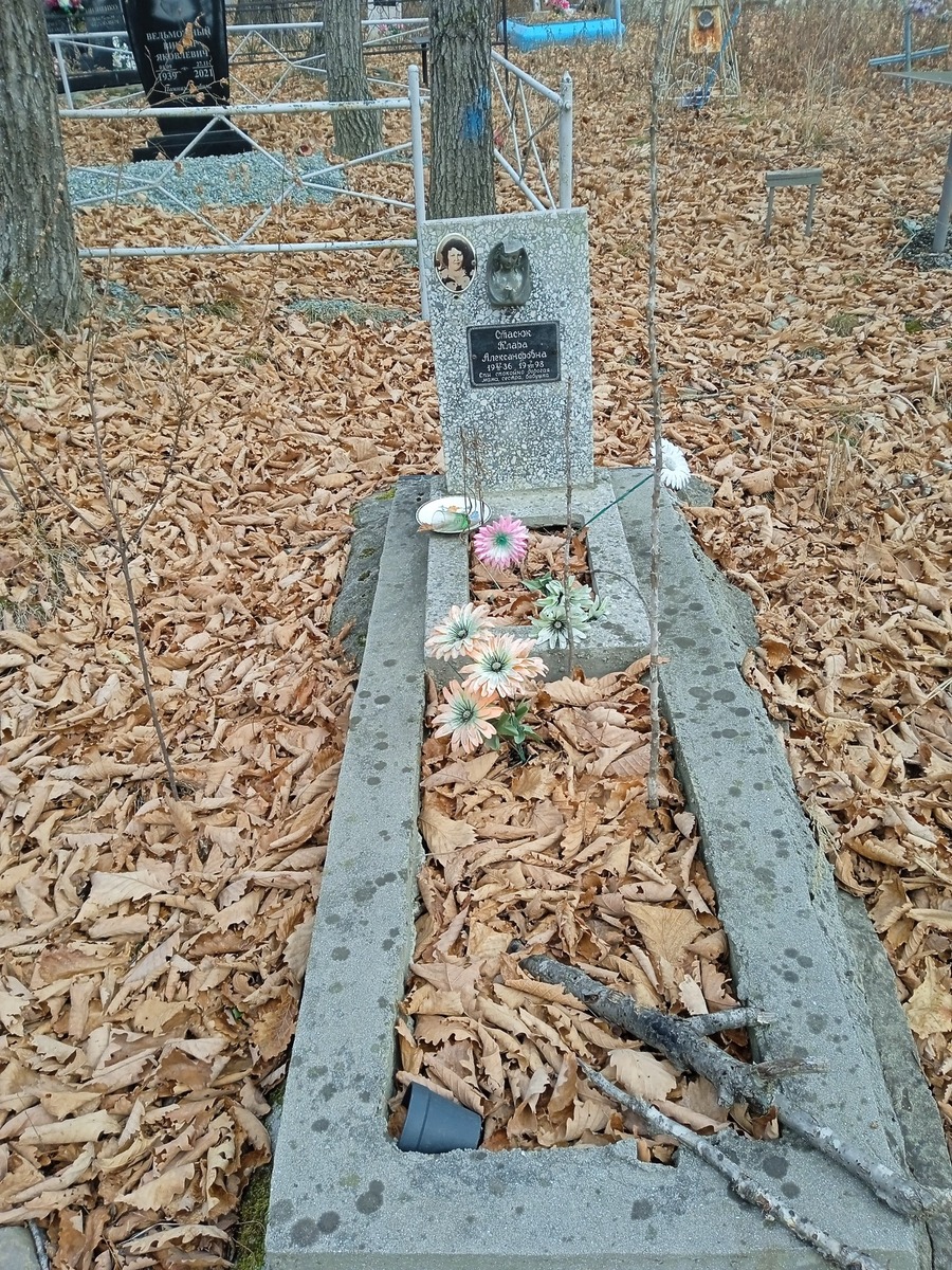 Стасюк Клара Александровна