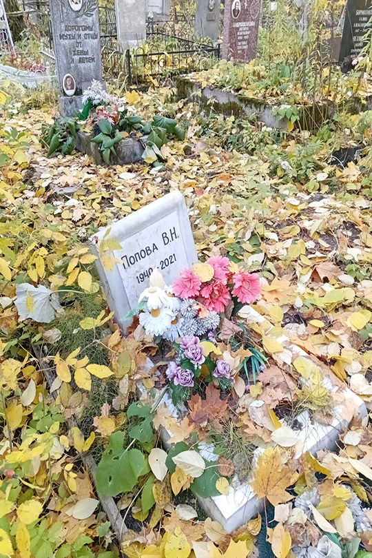 Попова В. Н.