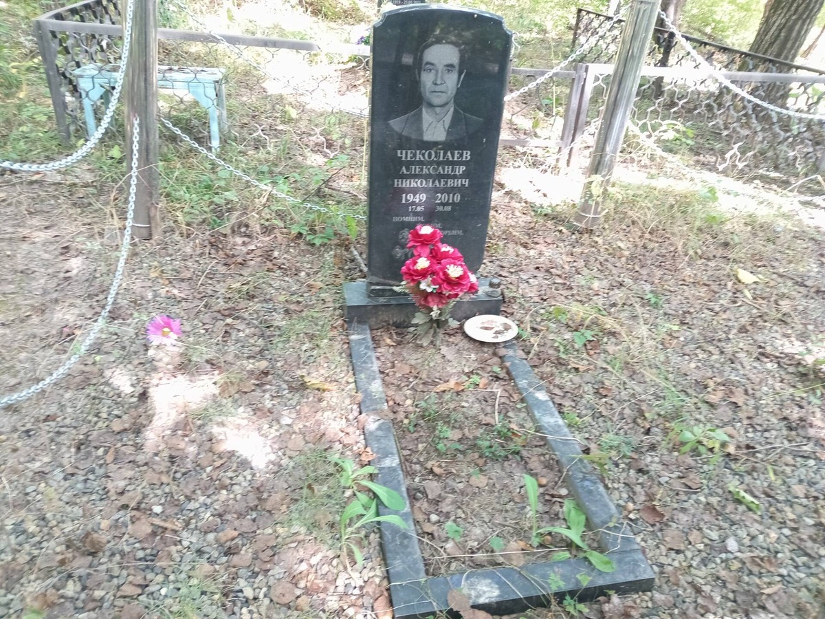 Чеколаев Александр Николаевич