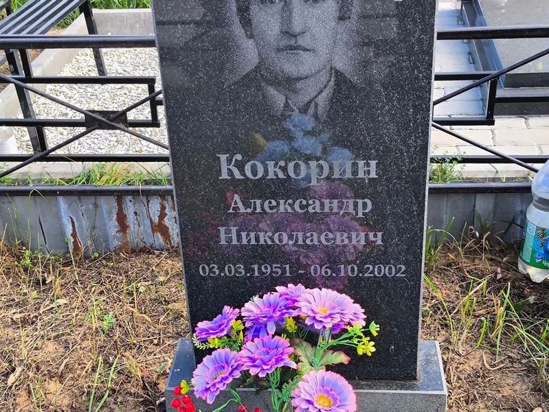 Кокорин