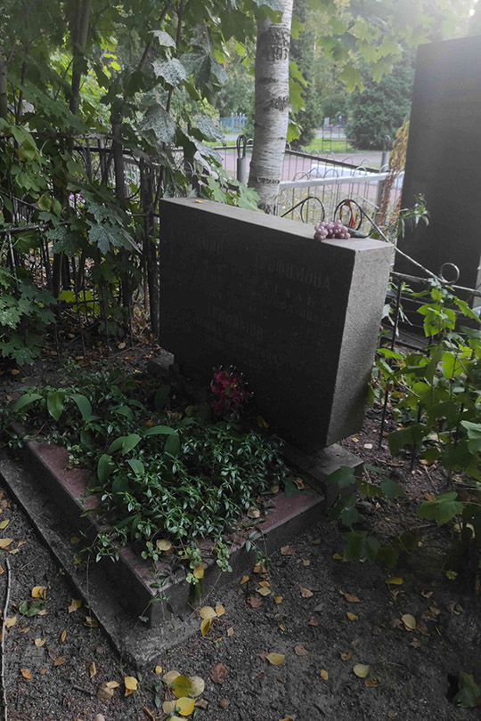 Трофимова Наталья Митрофановна