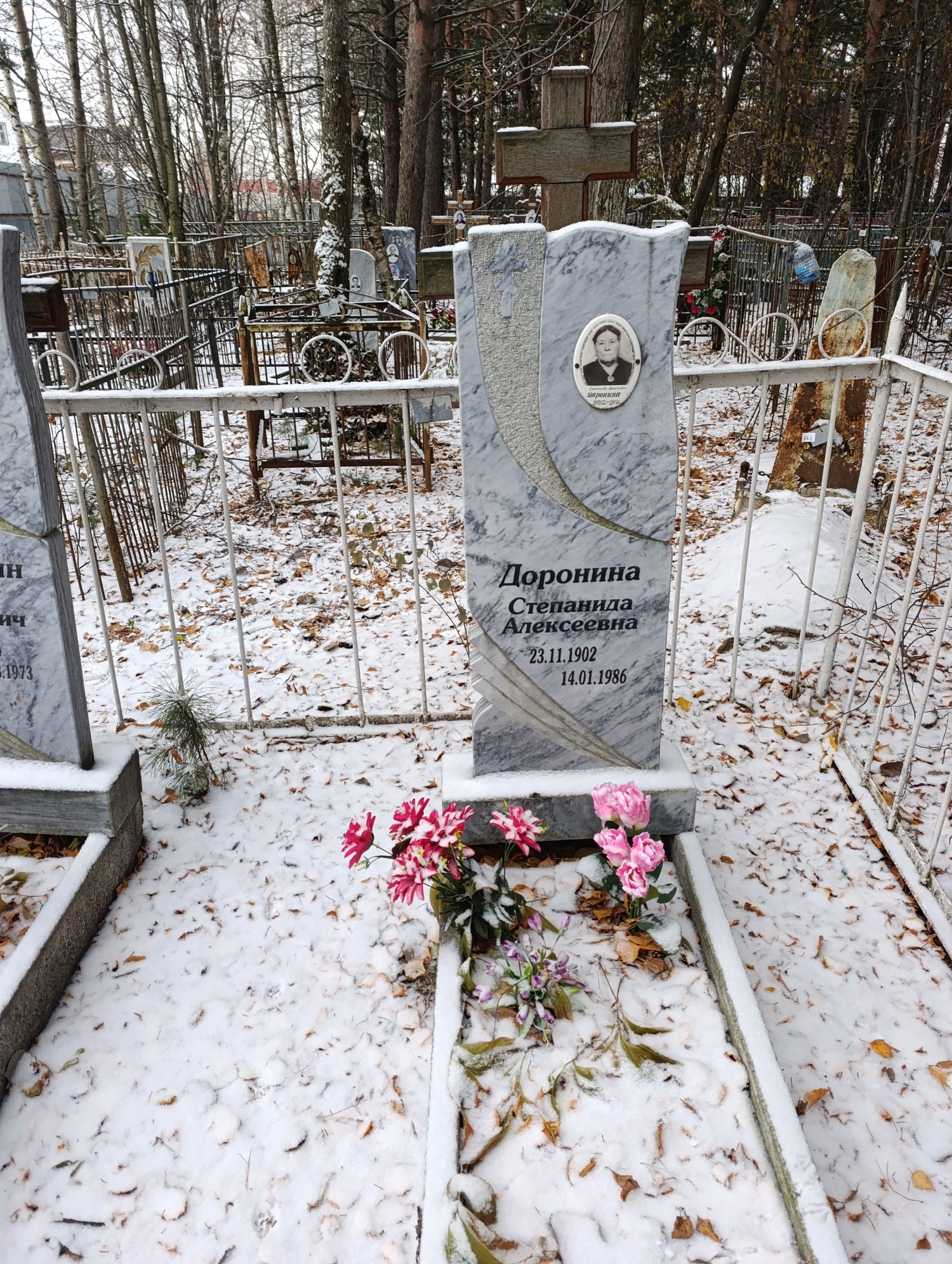 Доронина Степанида Алексеевна