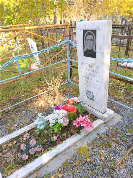 Васильев Владимир Еремеевич