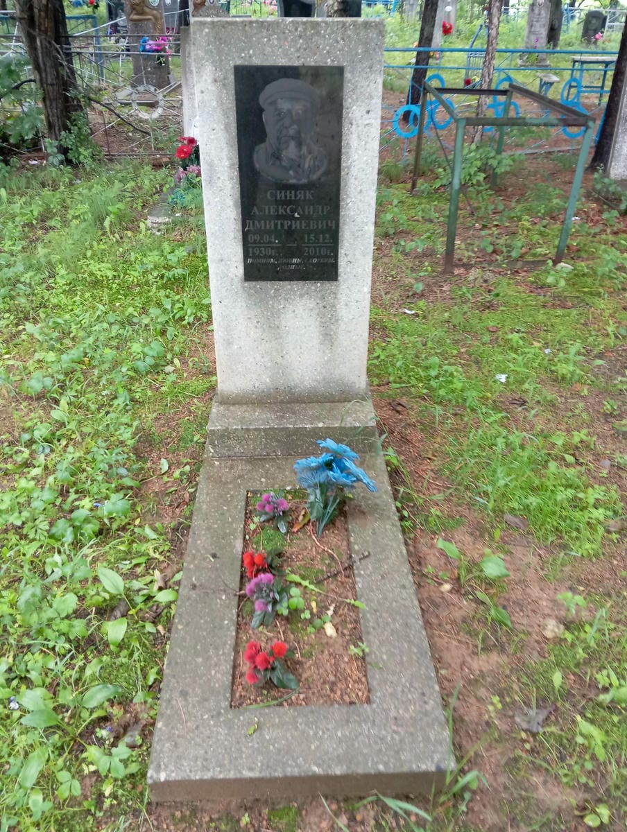 Синяк Александр Дмитриевич