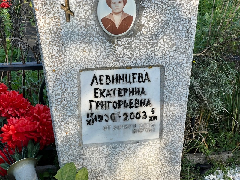 Левинцева