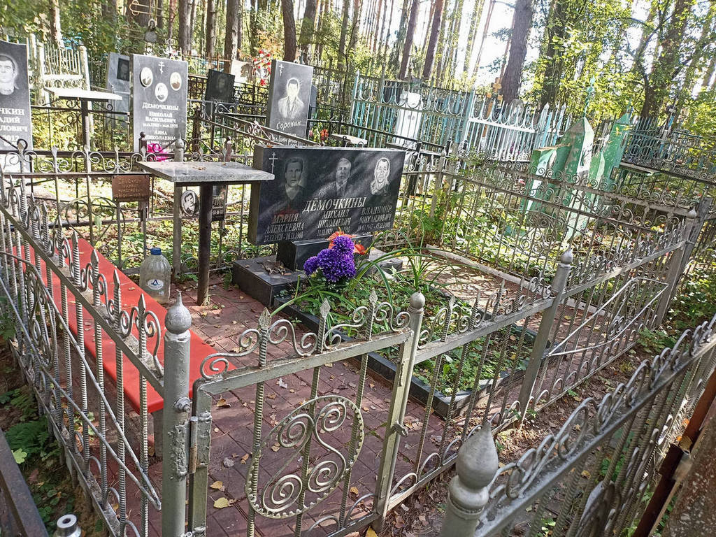 Демочкин Михаил Николаевич