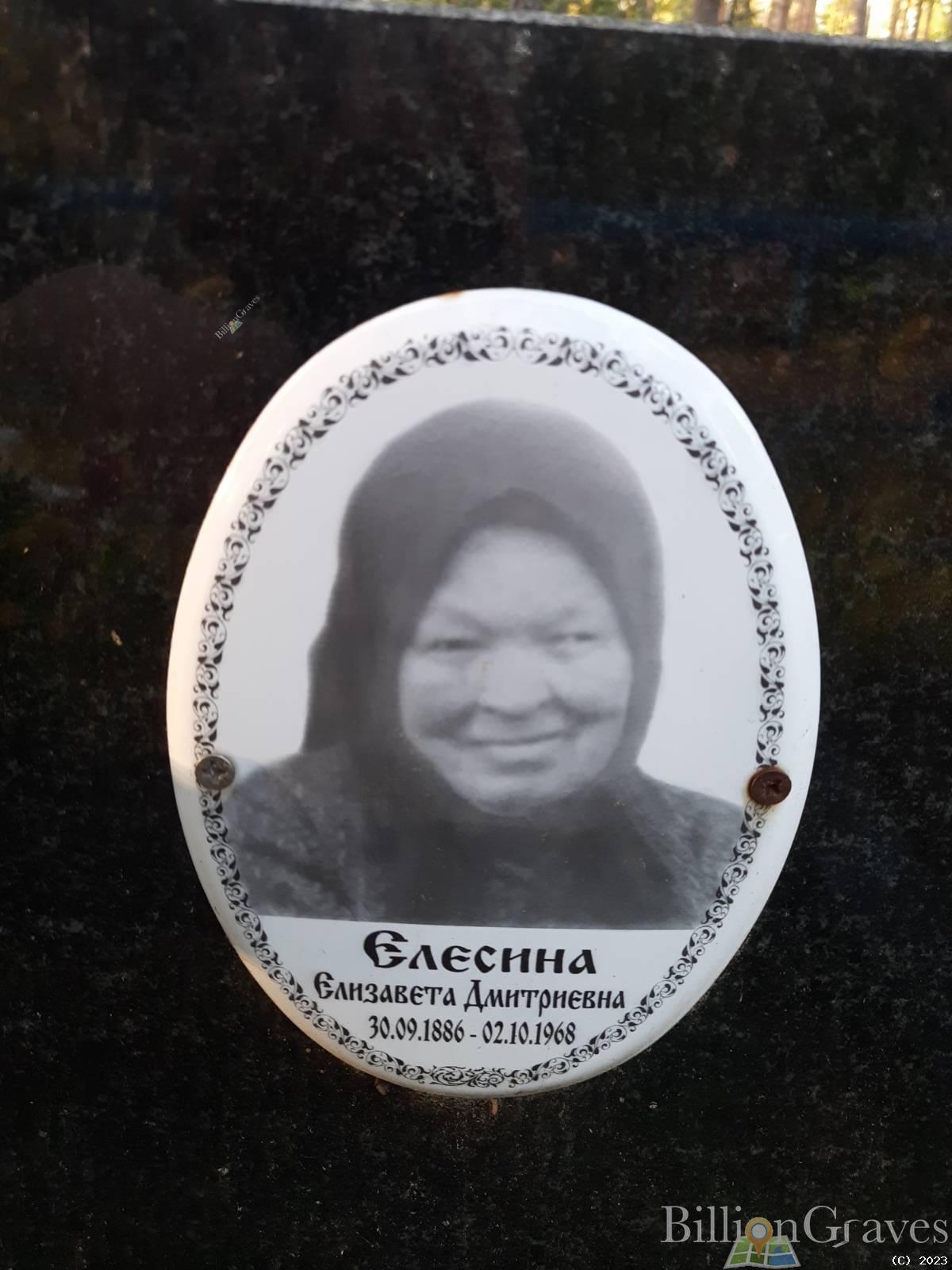Елесина Елизавета Дмитриевна