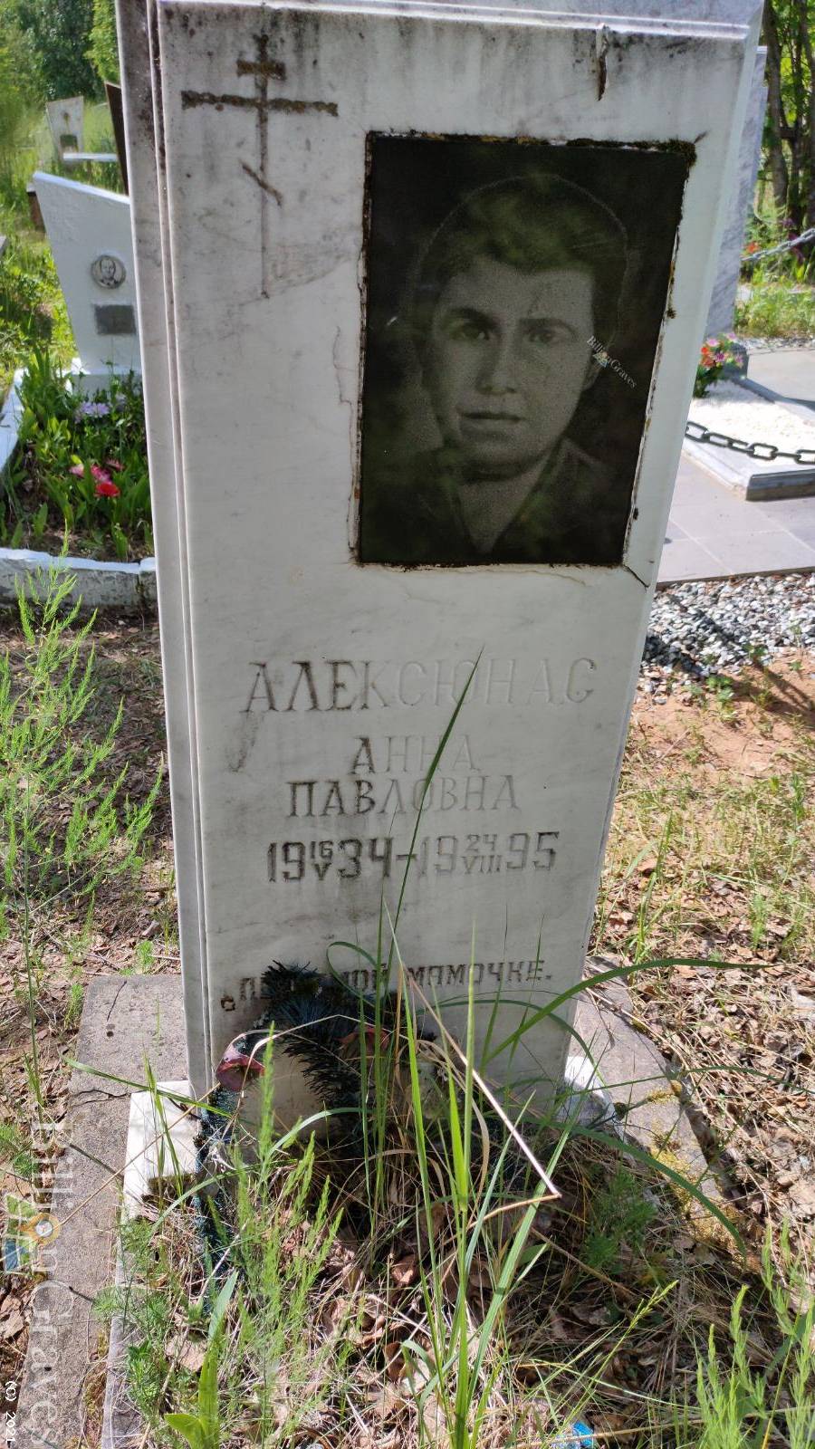 Алексюнас Анна Павловна