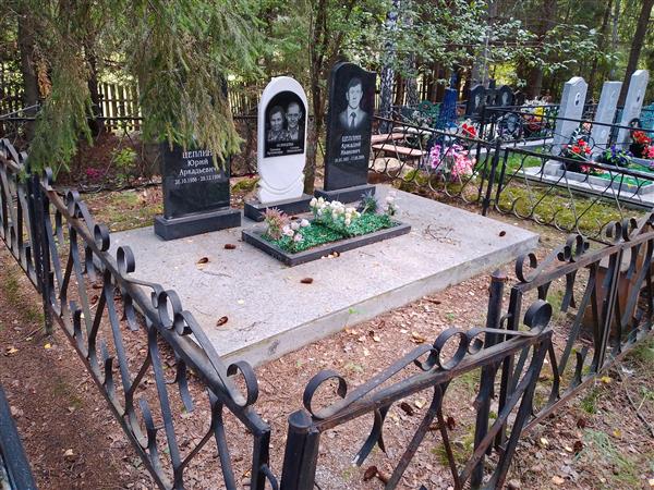 Цеплин Аркадий Иванович