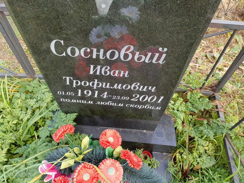 Сосновый
